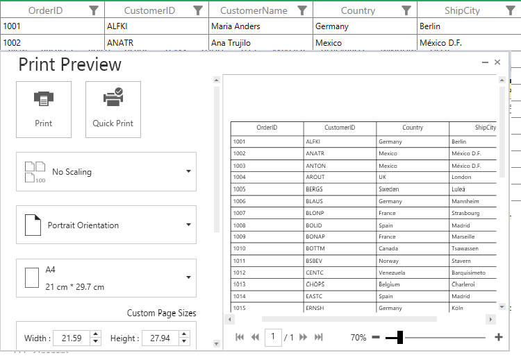 WPF DataGrid Printing with Hidden Column
