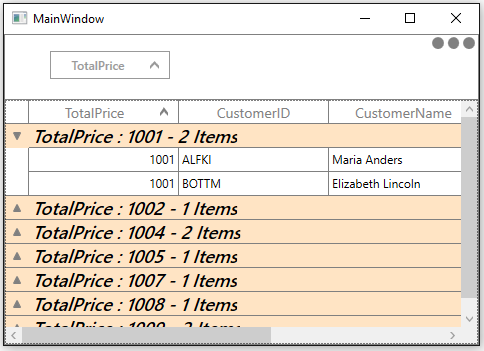 Customizing CaptionSummary Row Style in WPF DataGrid