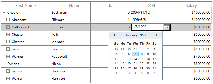 WPF TreeGrid displays Custom DatePicker