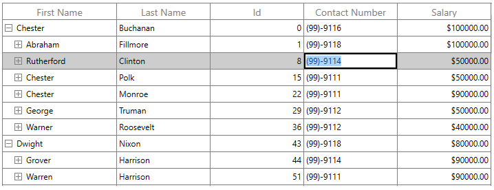 WPF TreeGrid Column with Mask Type