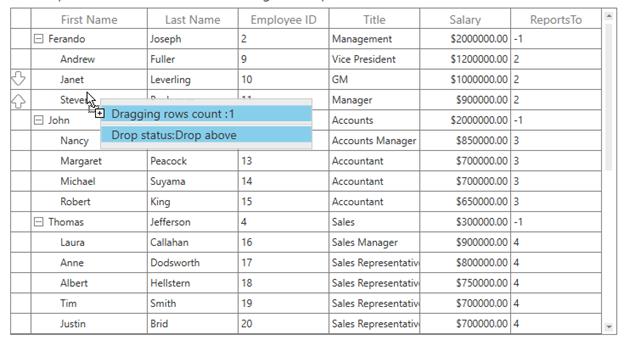 Customizing Drag and Drop Window in WPF TreeGrid