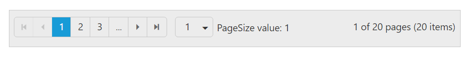pageSizeMessage