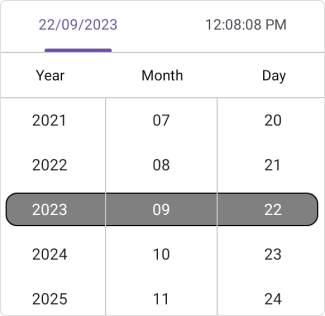 Set selection shape in .NET MAUI Date Time picker.