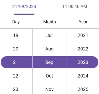 Date format in .NET MAUI Date Time picker.