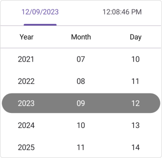 Selection view in .NET MAUI Date Time picker.