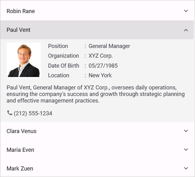 Defining the Accordion items