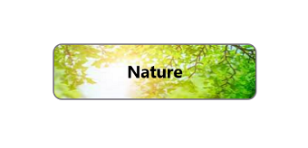 .NET MAUI Button with background image