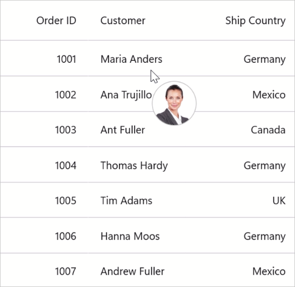 Customizing ToolTip using ToolTipTemplate in MAUI DataGrid