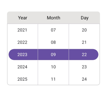 Custom Column header text in .NET MAUI Date picker.