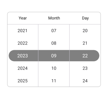 Custom Selection view in .NET MAUI Date picker.