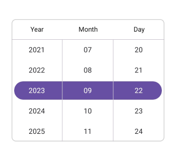 .NET MAUI Date Picker with format yyyy_MM_dd.