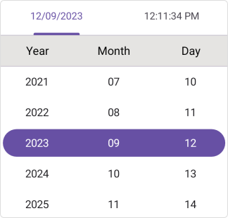 Column header view in .NET MAUI Date Time picker.