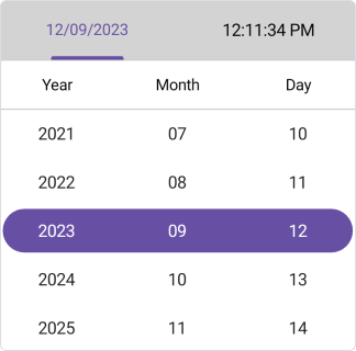 Header view in .NET MAUI Date Time picker.