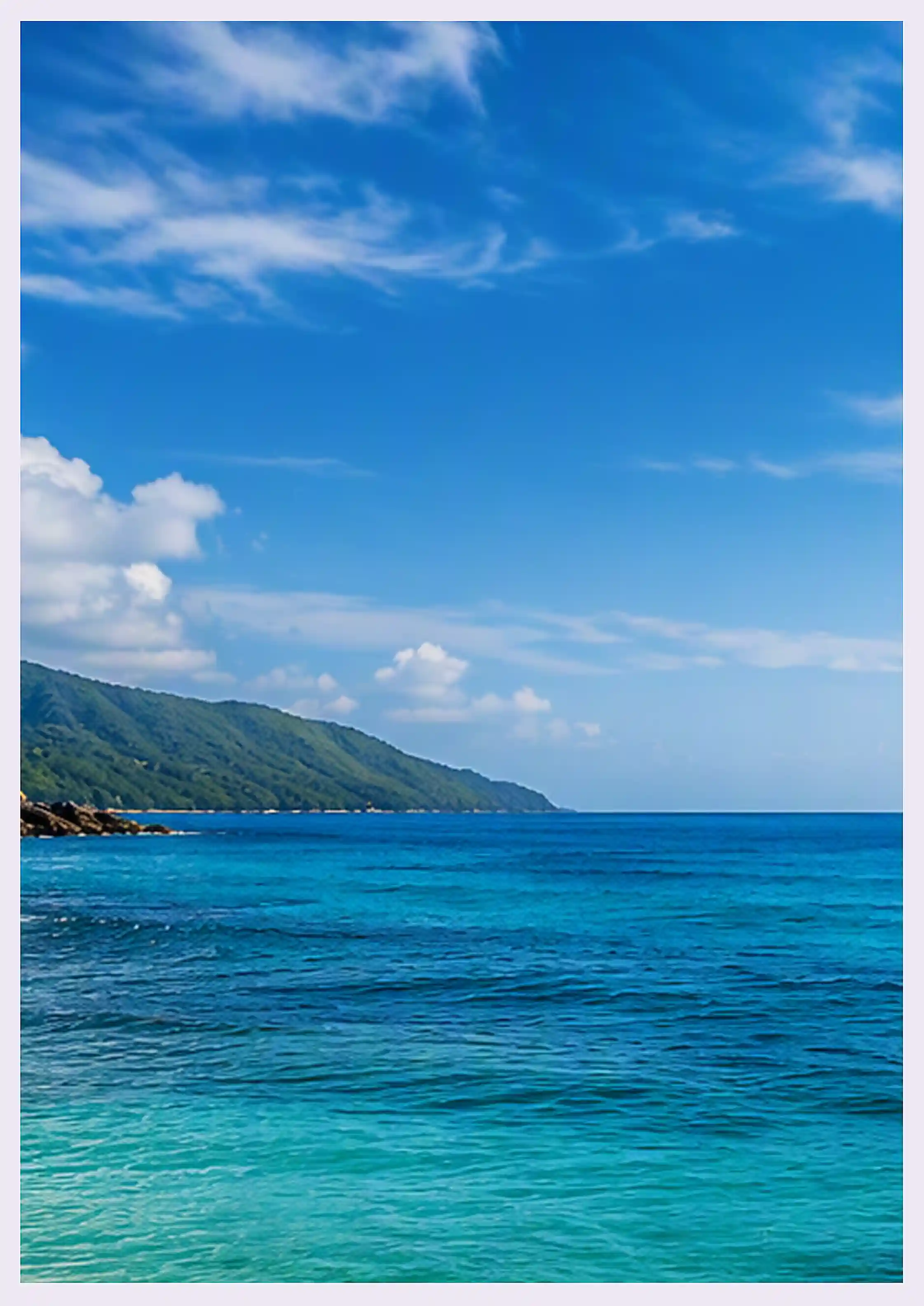 interactive-viewer-in.net-maui