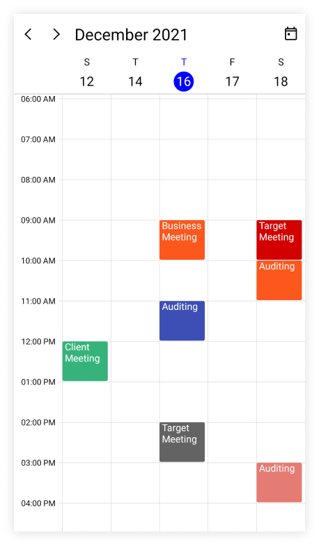 Flexible working days in .NET MAUI Scheduler.