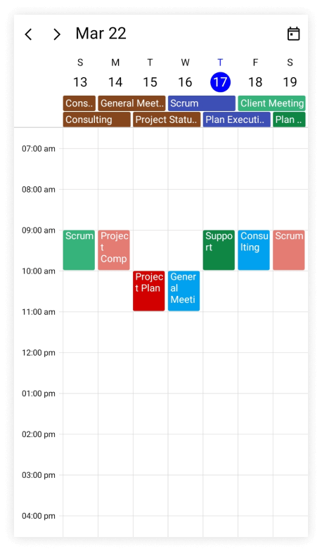 customize-header-date-format-in-maui-scheduler