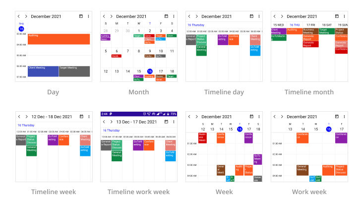 appointment-events-in-maui-scheduler