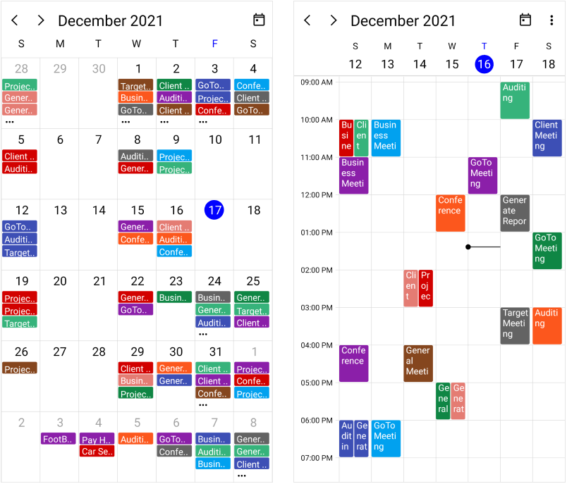 overview-in-maui-scheduler