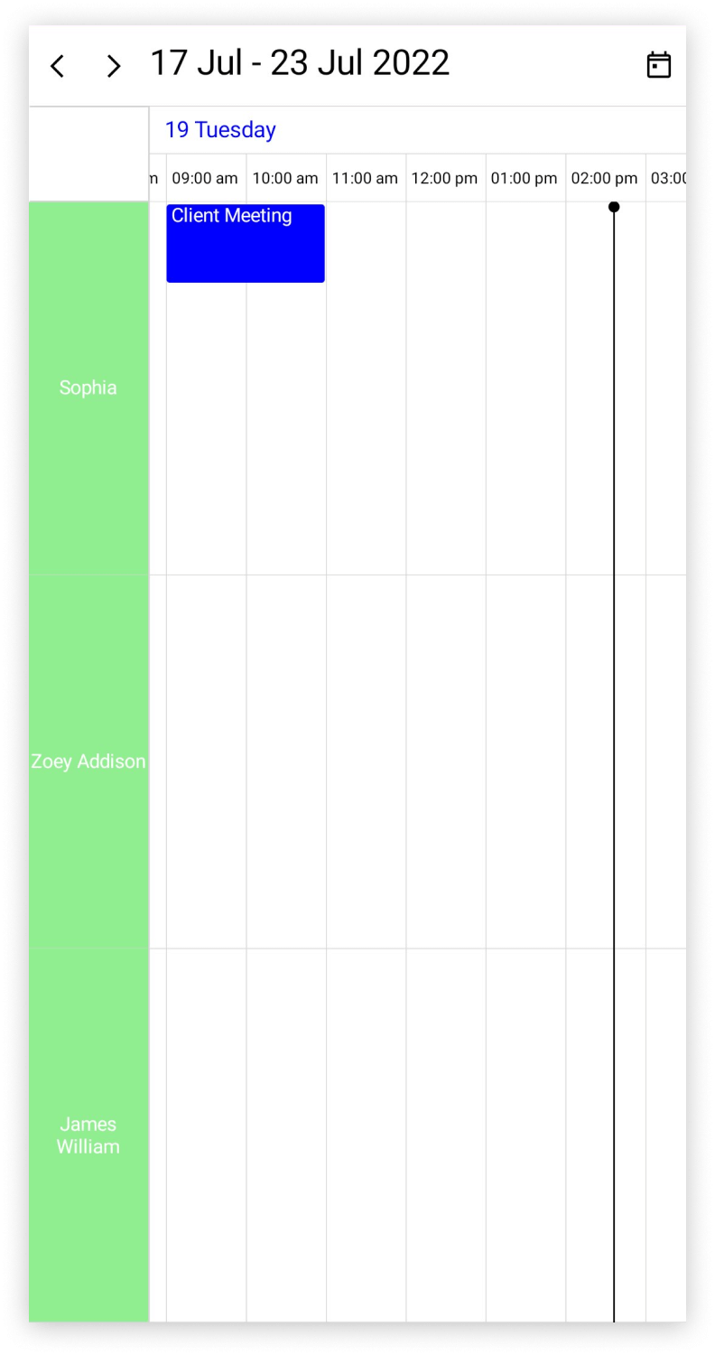 Resource view in .NET MAUI Scheduler.