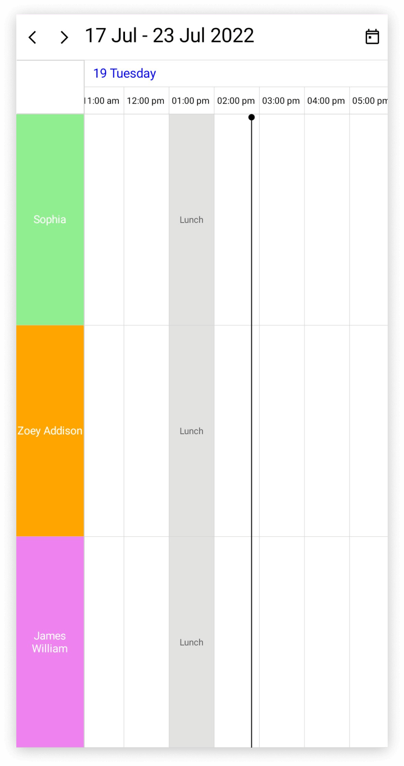 Resource view special timeregion in .NET MAUI Scheduler.