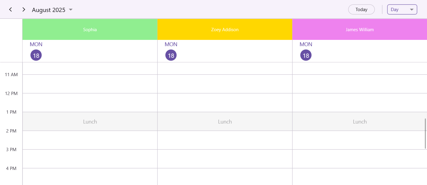 Resource View Special Time Region in Days View in .NET MAUI Scheduler.