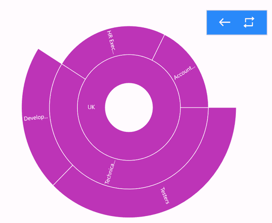 Drill Down Toolbar Customization.