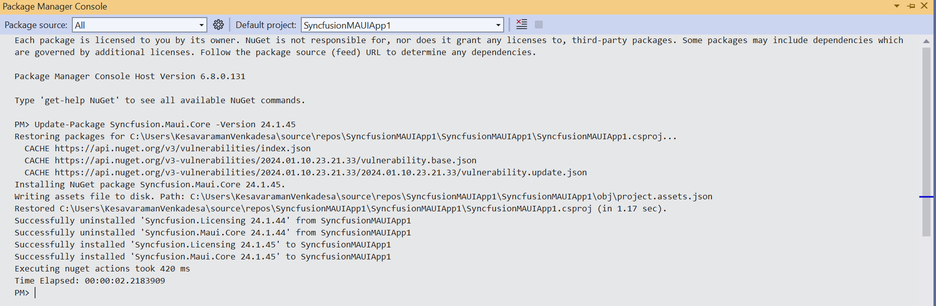 Package Manager Console output