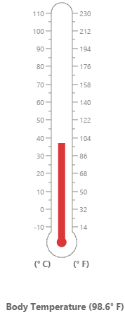 Visual representation of Thermometer using Linear Gauge in PHP