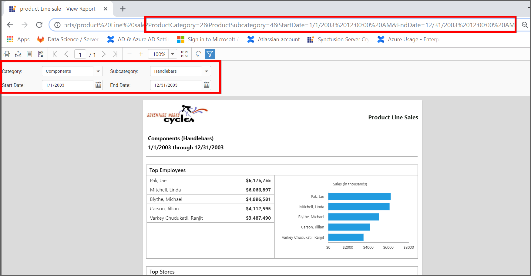 Reports with multiple Parameter