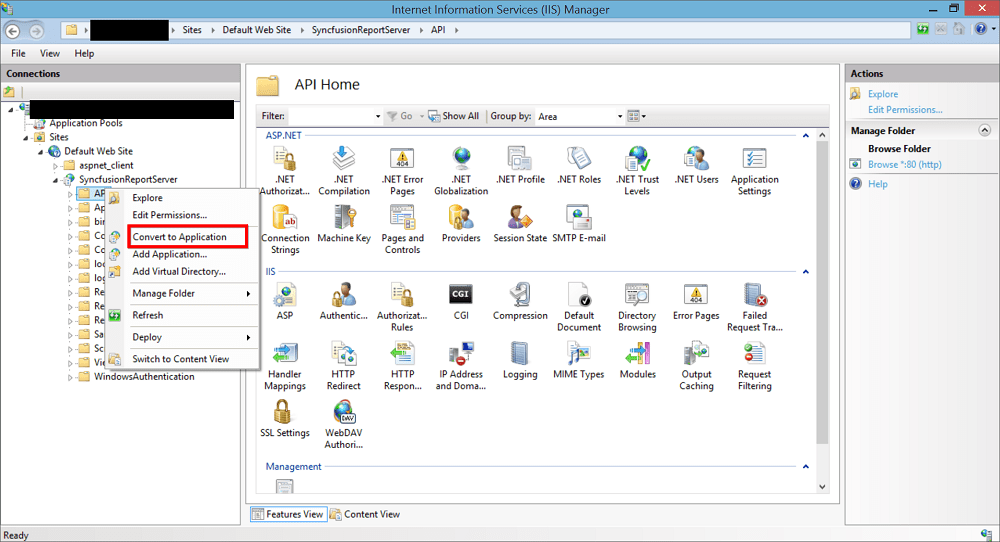 Host Report Server as application in IIS - Convert to sub Application