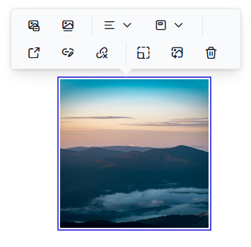 Rich Text Editor image with link