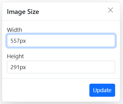 Rich Text Editor Image dimension