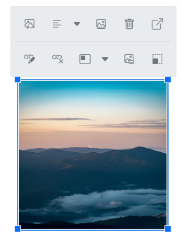 Rich Text Editor image with link