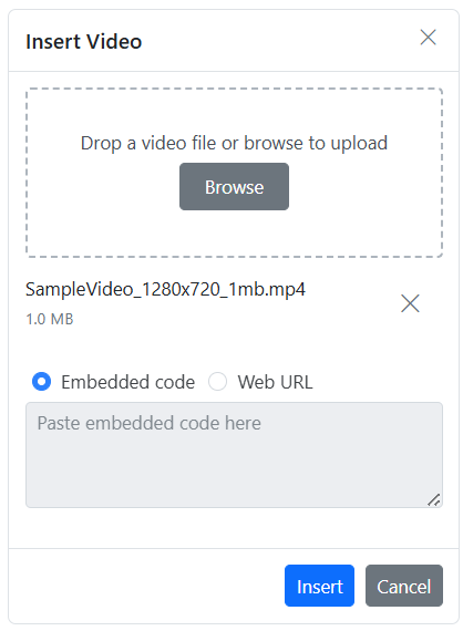 Vue Rich Text Editor Video delete