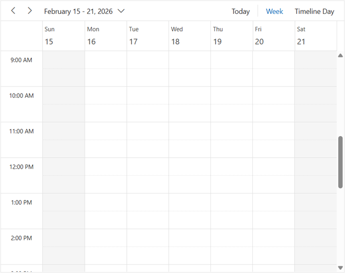 ASP.NET Core Scheduler with Specific View