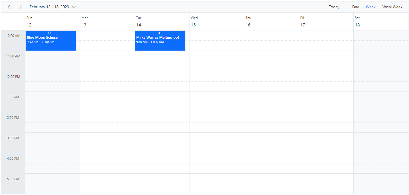Display Custom Hours in ASP.NET Core Scheduler