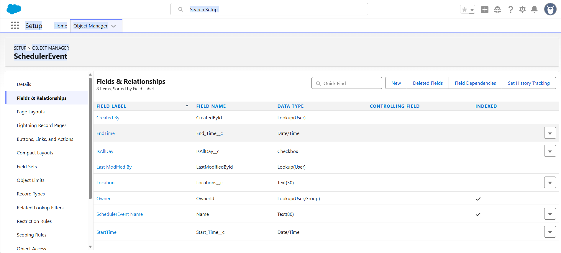 Salesforce New custom field