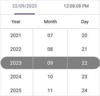 Selected item customization in .NET MAUI Date Time picker.