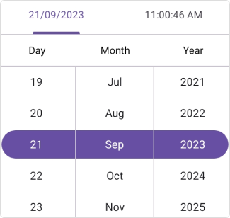 Set Height and Width in .NET MAUI Date Time picker.