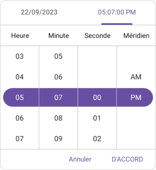 Date Time picker Time localization in .NET MAUI Date Picker.