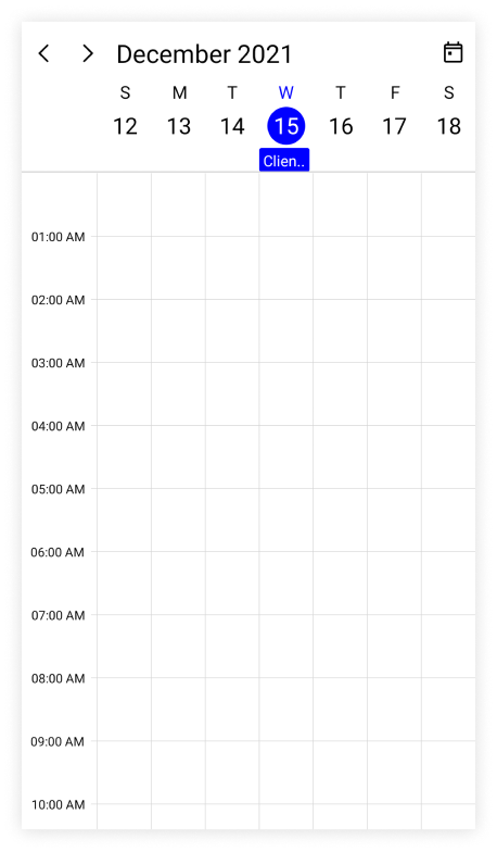 all-day-appointment-in-maui-scheduler