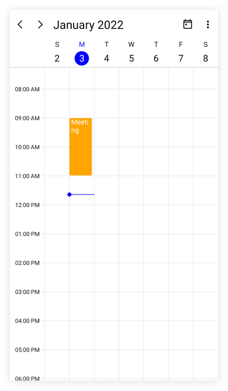 customize-current-time-indicator-appearance-in-timeslots-views-in-maui-scheduler