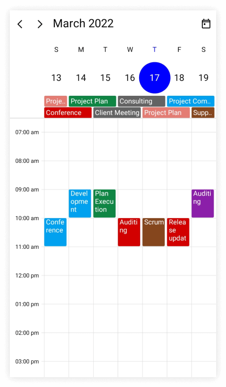 customize-view-header-height-in-timeslot-views-in-maui-scheduler