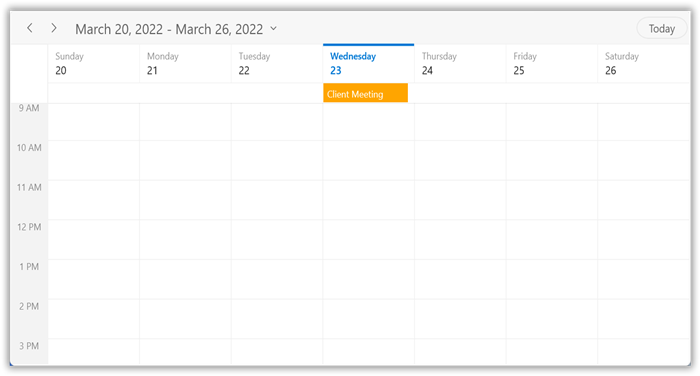 all-day-appointment-in-winui-scheduler