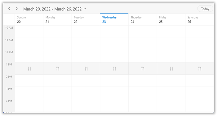 special-time-region-customization-in-datebasis-in-winui-scheduler-timeslot-views