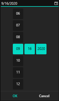 WPF DatePicker Theme