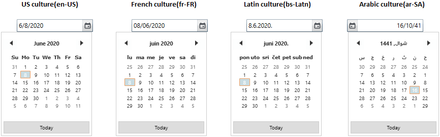 Setting various culture in WPF DateTimeEdit