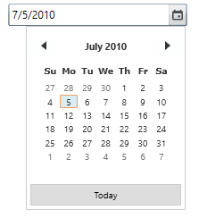 overview of WPF DateTimeEdit