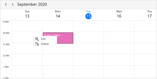 Appointment ContextMenu in WPF Scheduler