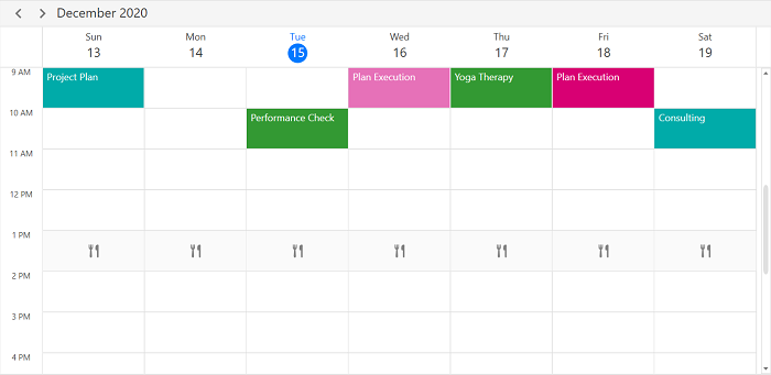 Special time region customization in WPF Scheduler